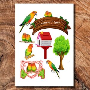 Wydruk cukrowy na tort A4 papuga papugi napis DIY