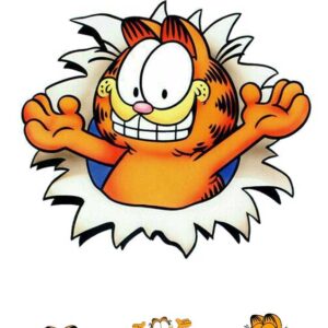 Wydruk cukrowy na tort A4 Garfield + napis gratis
